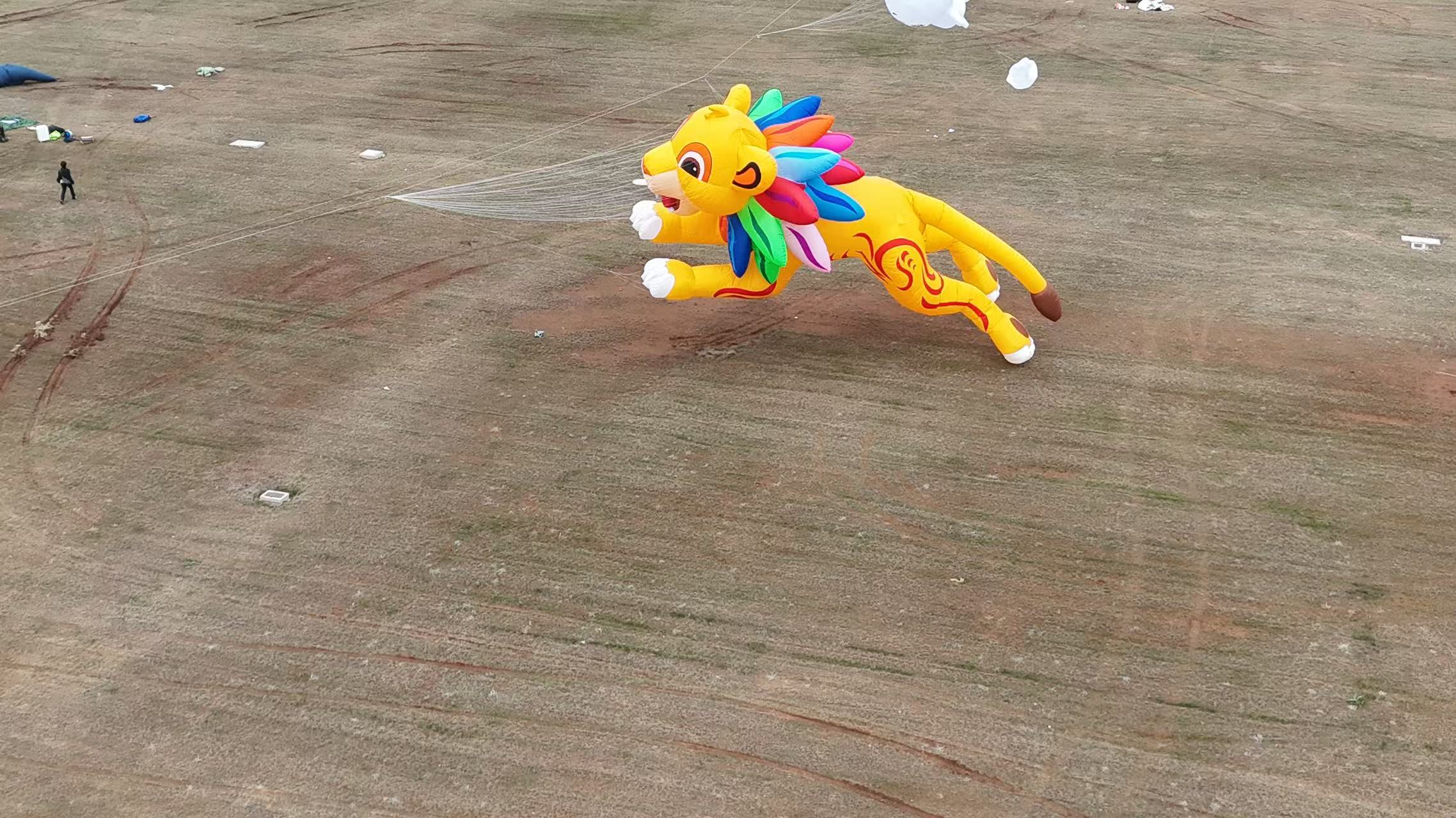 宿迁市品牌风筝定制风筝批发 - 厂家