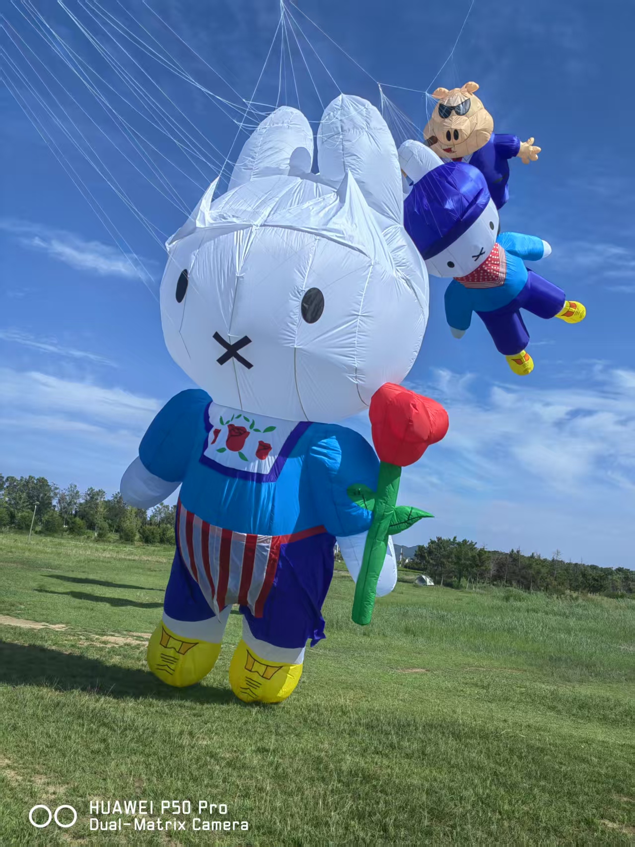 宿迁市儿童风筝定制风筝制作 - 价格